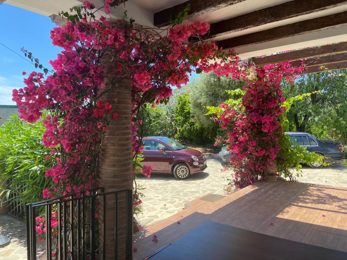 Villa Zahar Periana Exterior foto