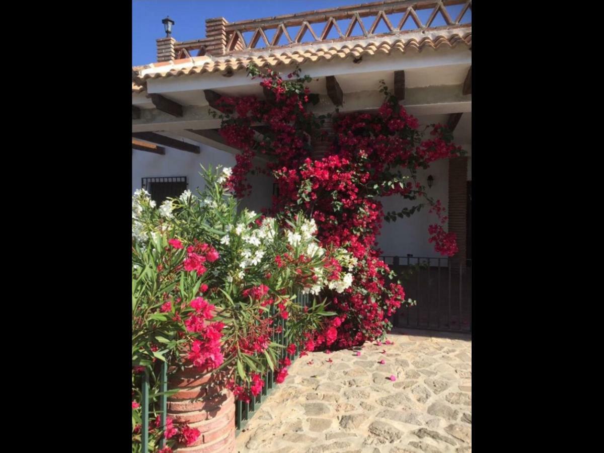 Villa Zahar Periana Exterior foto